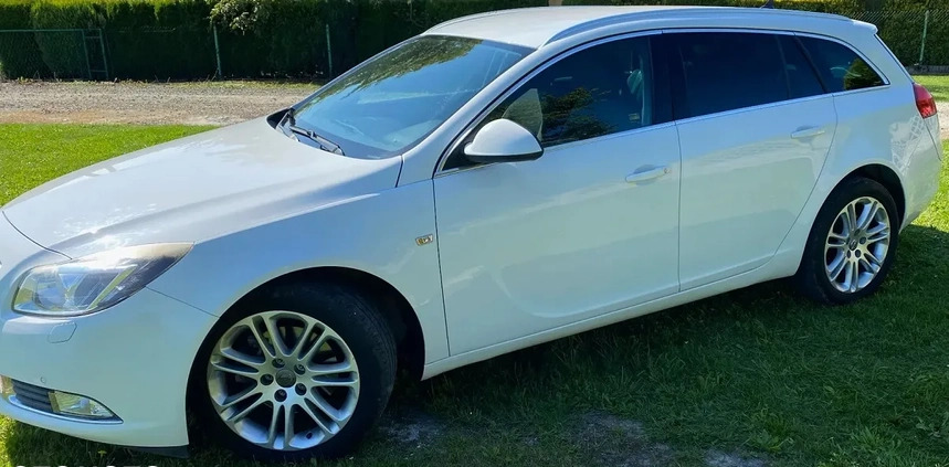 Opel Insignia cena 14900 przebieg: 306000, rok produkcji 2010 z Zamość małe 67